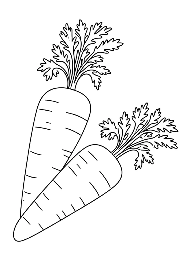 Desenho de cenoura para colorir para imprimir e colorir - imagem 4